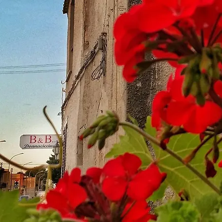 Bed and Breakfast Donnaciccinatrapani Rilievo