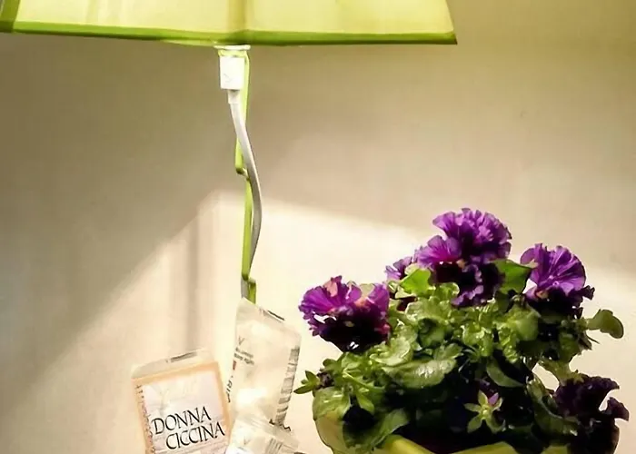 Donnaciccinatrapani 3*