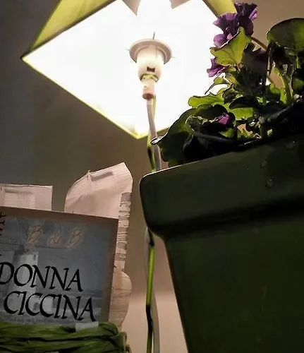 Donnaciccinatrapani