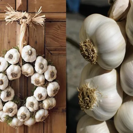 Donnaciccinatrapani 3*