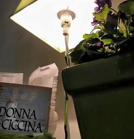 Donnaciccinatrapani